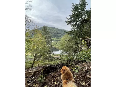 Miami Foley Rd, Nehalem, OR 97131