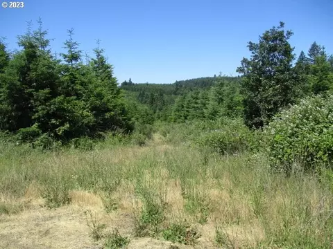 00 NW Mt Richmond Rd, Gaston, OR 97119