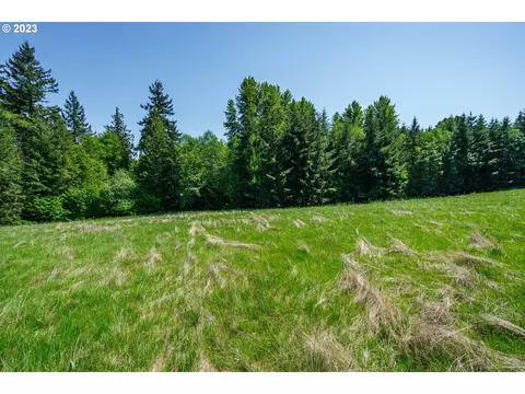 0 Carnine Rd #4, Castle Rock, WA 98611