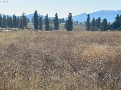 deerview ct LT 44, Chiloquin, OR 97624