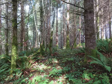 state route 101, South Bend, WA 98586