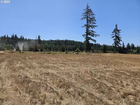 31324 S Walton Rd, Colton, OR 97017