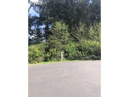 29 Nehalem Point Dr, Nehalem, OR 97131