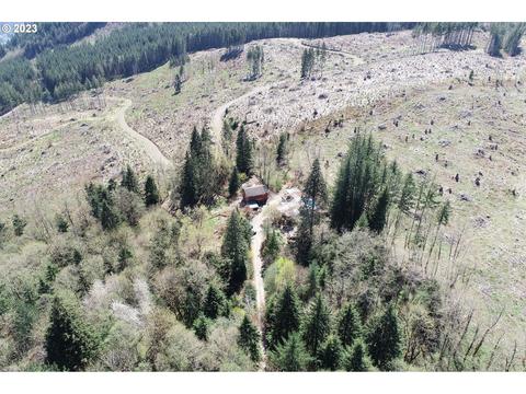 24615 NE Fern Dr, Amboy, WA 98601