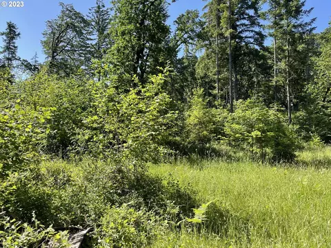 Richardson Gap Rd, Lebanon, OR 97355