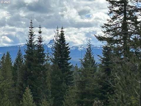 8 Diamond Peak Way, Crescent Lake, OR 97733