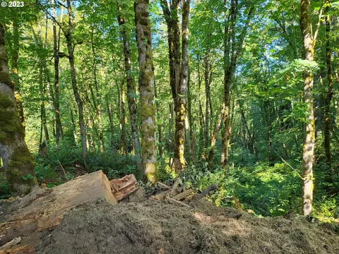 Hillcrest Dr, Scappoose, OR 97056