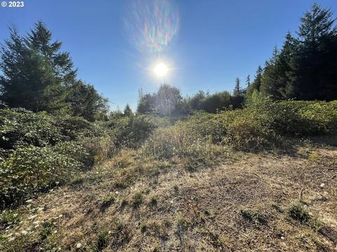 20725 SE 367th Ave, Sandy, OR 97055 photo 7