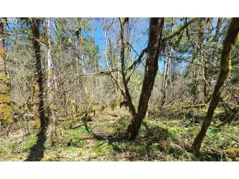 E Huckleberry Dr, Welches, OR 97067