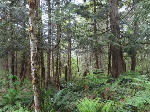 Pilgrim Rd E, Eatonville, WA 98328