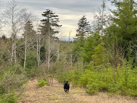 N Beaver Creek Rd, Newport, OR 97366