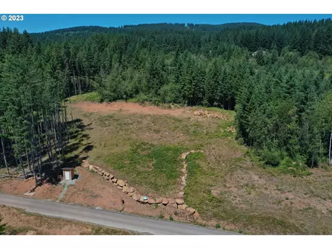 0 NE 292nd Ave, Camas, WA 98607