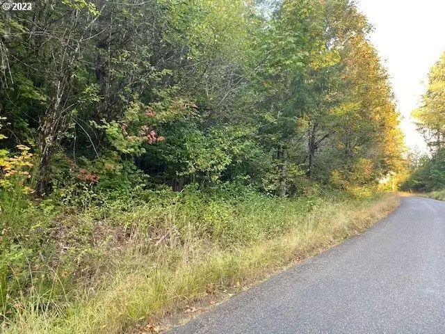  Mcgowan Creek Rd, Springfield, OR 97478 photo 1