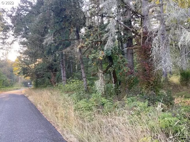  Mcgowan Creek Rd, Springfield, OR 97478 photo 5