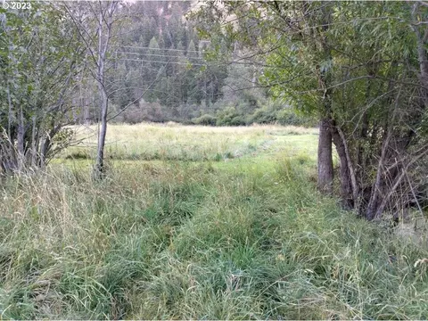 0 Upper Imnaha Rd, Imnaha, OR 97842