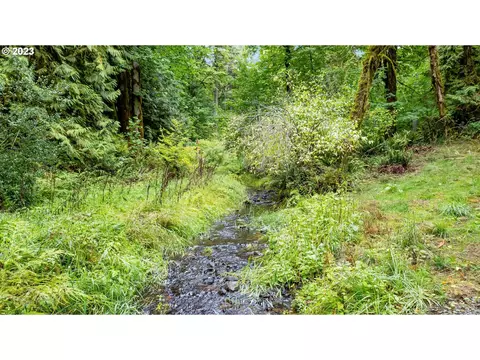 0 NW Green Mountain Rd #1, Banks, OR 97106