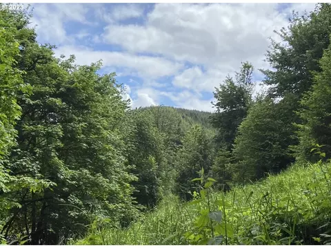 Beaver Falls Rd, Clatskanie, OR 97016