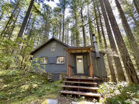 78542 E Road 32 #LT 26, Government Camp, OR 97028