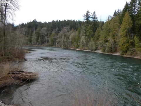 17 Omlid Dr, Springfield, OR 97478