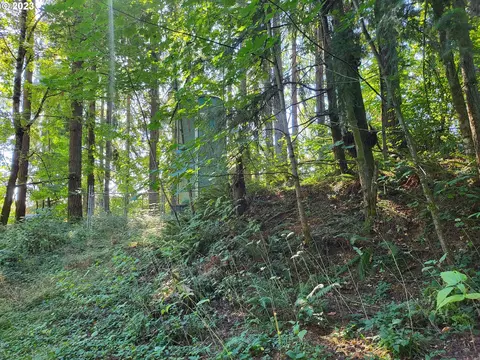 Hillcrest Dr, Scappoose, OR 97056