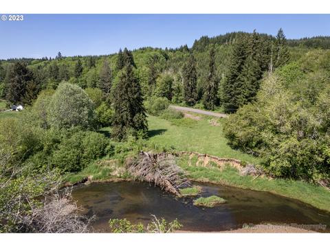 Timber Rd, Vernonia, OR 97064