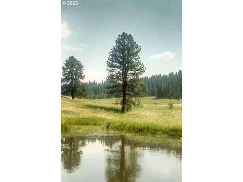 Starvation Rd, Enterprise, OR 97828