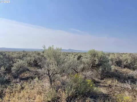 Pinion Ln, Christmas Valley, OR 97641