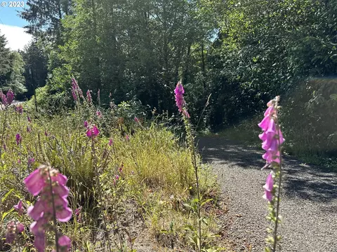 Whiskey Creek Rd, Netarts, OR 97143