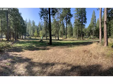 54763 Caddis Ln, Mckenzie Bridge, OR 97413