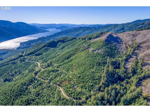 Usfs 81 Rd, Cougar, WA 98616