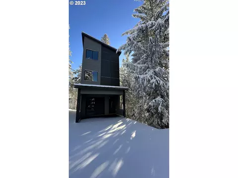 88266 E Steel Ln, Government Camp, OR 97028