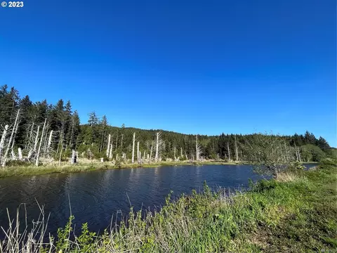 State Route 4, Naselle, WA 98638