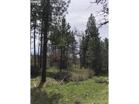 200 Timber Rd, Bickleton, WA 99322