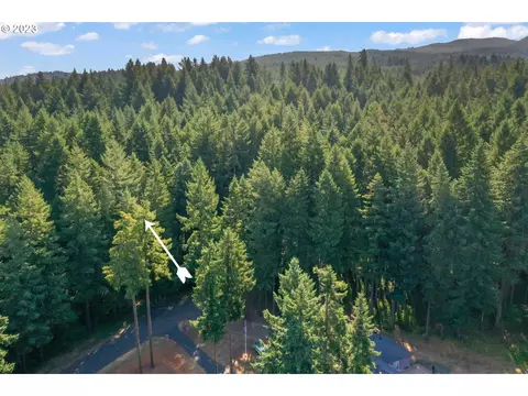 0 Tonga Ln, Springfield, OR 97478 photo 18