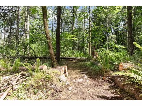 0 Tonga Ln, Springfield, OR 97478 photo 8
