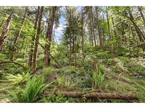 0 Tonga Ln, Springfield, OR 97478 photo 20