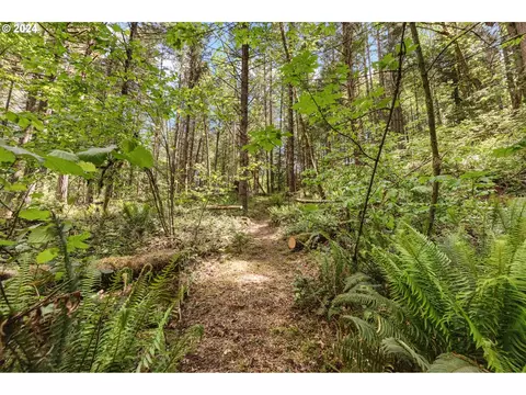 0 Tonga Ln, Springfield, OR 97478 photo 15