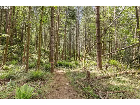 0 Tonga Ln, Springfield, OR 97478
