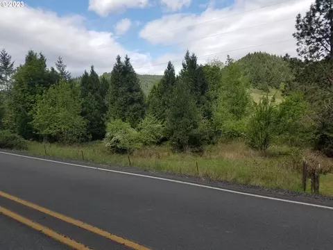 0 Willis Creek Rd, Winston, OR 97496