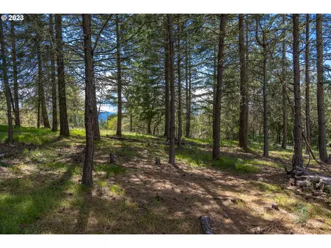 390 Canyon Dr #LOT 2, Lyle, WA 98635