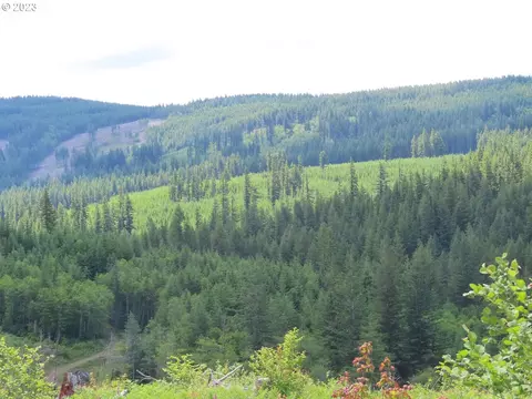 L-1100 Rd, Yacolt, WA 98675
