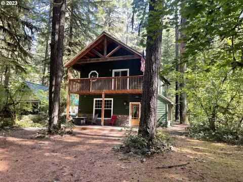 Cabin 167 Northwoods, Cougar, WA 98616