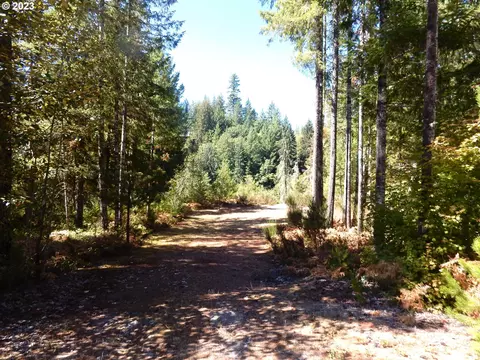 Lodgepole Lane, Cougar, WA 98616