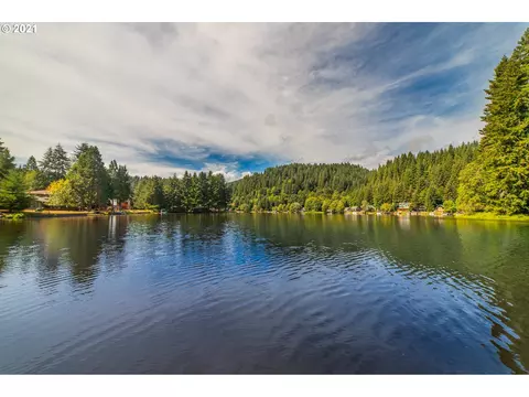 71501 Fishhawk Rd, Birkenfeld, OR 97016