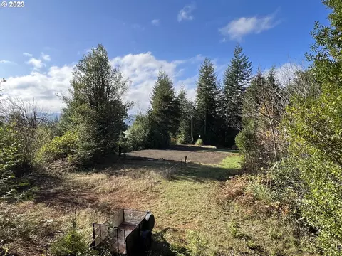 94019 Falcons Nest Dr, Coquille, OR 97423