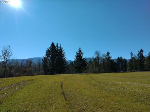 Gooseneck Rd, Sheridan, OR 97378
