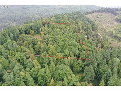 0 NE 436 St, Amboy, WA 98601