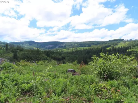 L-1100 Rd, Yacolt, WA 98675