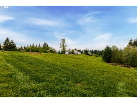 6215 Green Mountain Rd, Woodland, WA 98674