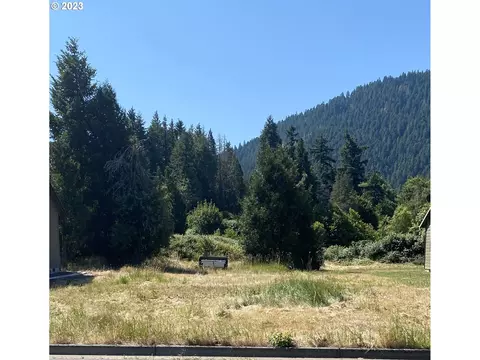 48400 Roaring Rapids Way, Oakridge, OR 97463